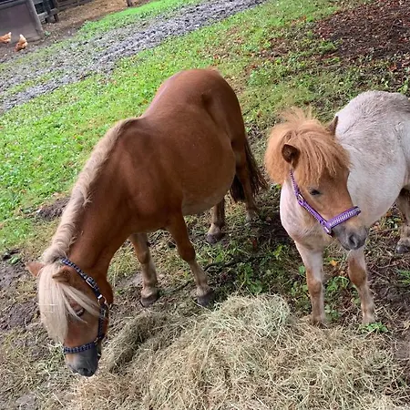 Gaestewohnung Hardinghaus Am Teich דירה *