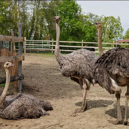דירה Gaestewohnung Hardinghaus Am Teich *