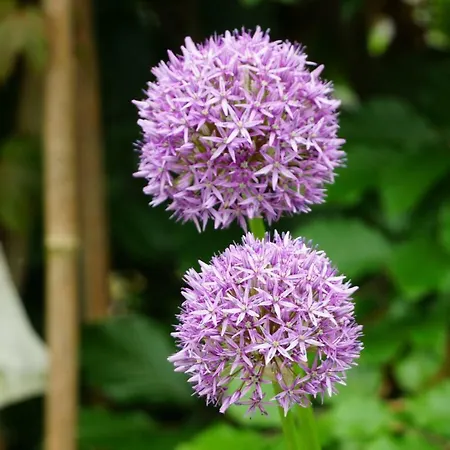Gaestewohnung Hardinghaus Am Teich