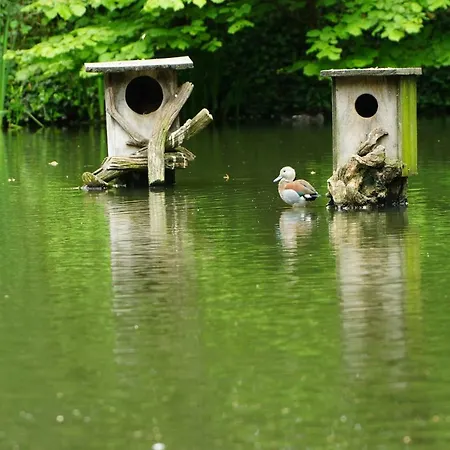 Апартаменты Gaestewohnung Hardinghaus Am Teich *