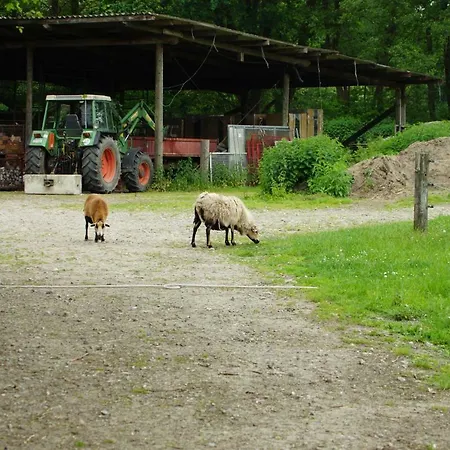 Apartment Gaestewohnung Hardinghaus Am Teich