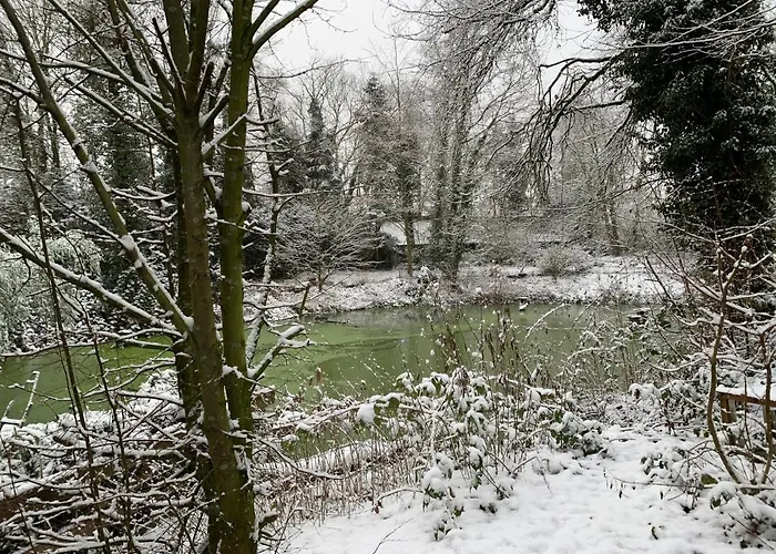 Gaestewohnung Hardinghaus Am Teich アパート ヴァーレンドルフ