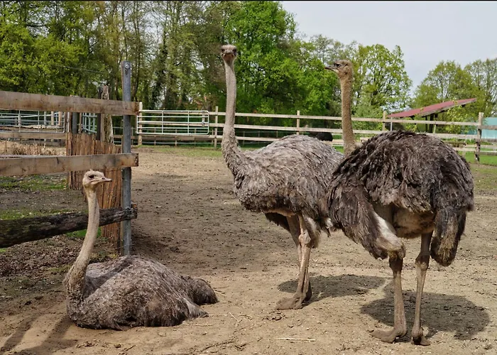 公寓 Gaestewohnung Hardinghaus Am Teich *