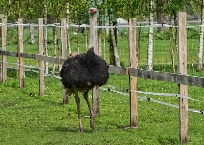 Gaestewohnung Hardinghaus Am Teich * 瓦伦多夫