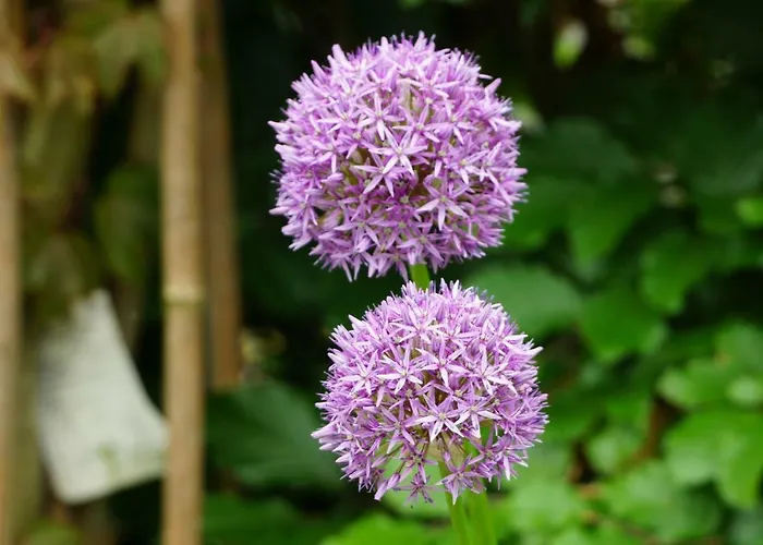 Gaestewohnung Hardinghaus Am Teich
