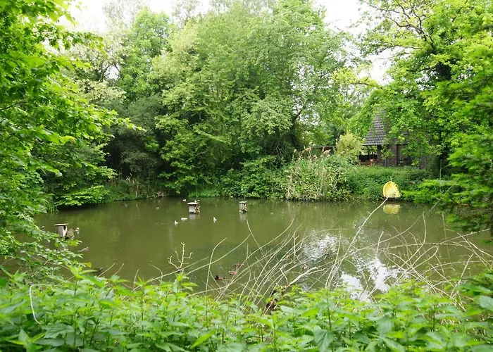 Gaestewohnung Hardinghaus Am Teich アパート