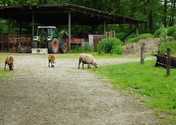 Lägenhet Gaestewohnung Hardinghaus Am Teich